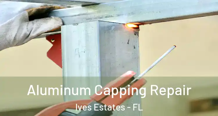  Aluminum Capping Repair Ives Estates - FL