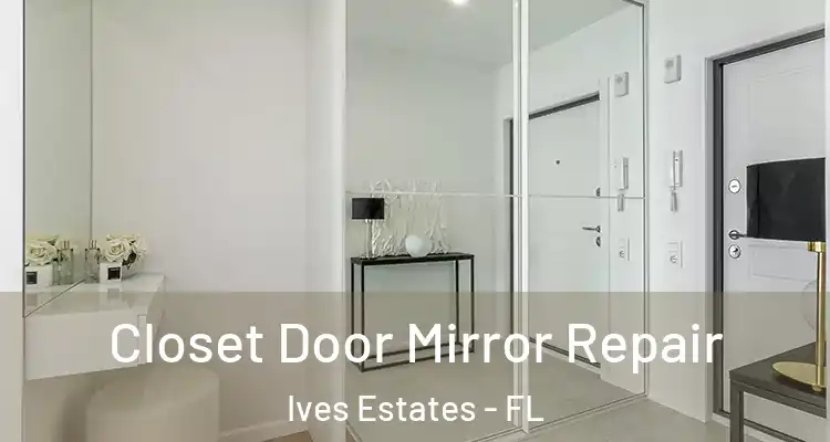  Closet Door Mirror Repair Ives Estates - FL