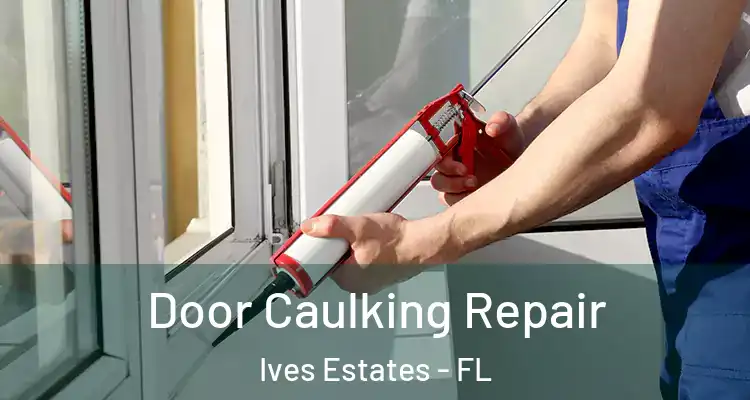  Door Caulking Repair Ives Estates - FL