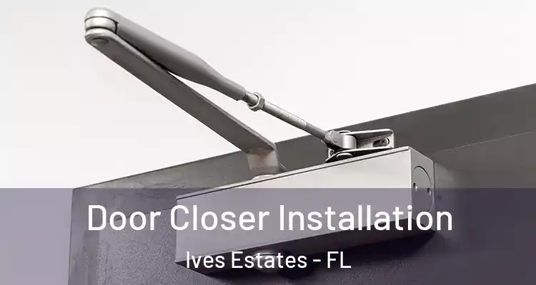  Door Closer Installation Ives Estates - FL
