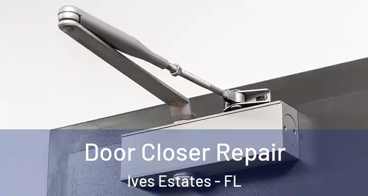  Door Closer Repair Ives Estates - FL