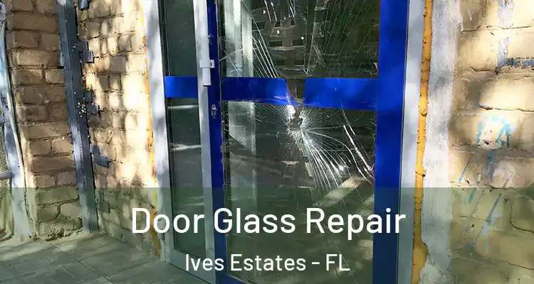  Door Glass Repair Ives Estates - FL