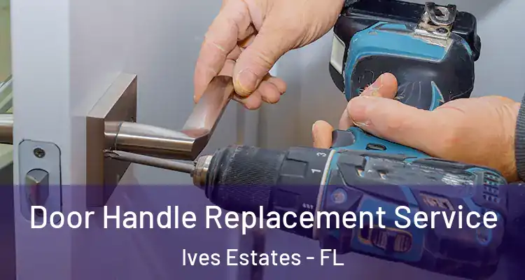  Door Handle Replacement Service Ives Estates - FL
