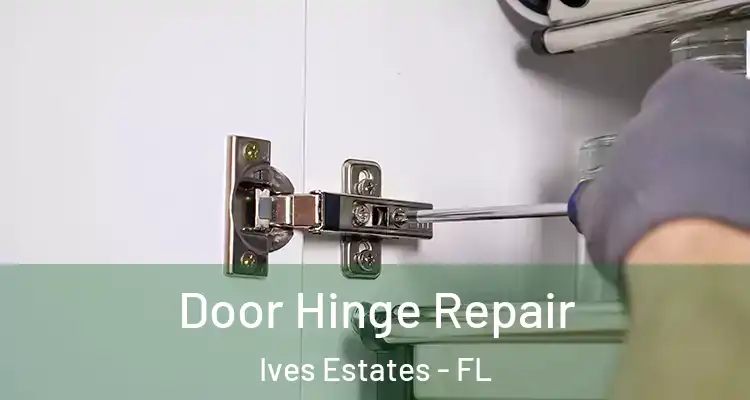  Door Hinge Repair Ives Estates - FL