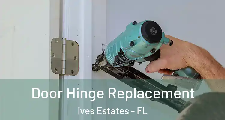 Door Hinge Replacement Ives Estates - FL
