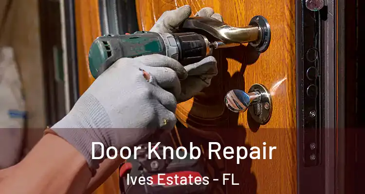  Door Knob Repair Ives Estates - FL