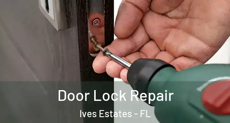  Door Lock Repair Ives Estates - FL