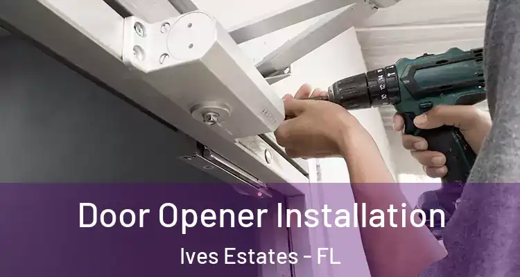  Door Opener Installation Ives Estates - FL