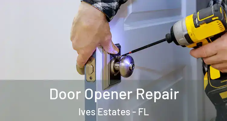  Door Opener Repair Ives Estates - FL