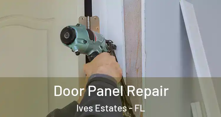  Door Panel Repair Ives Estates - FL