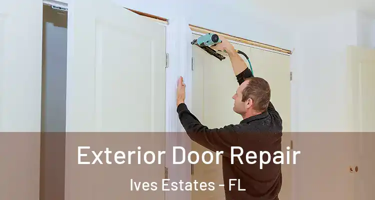  Exterior Door Repair Ives Estates - FL