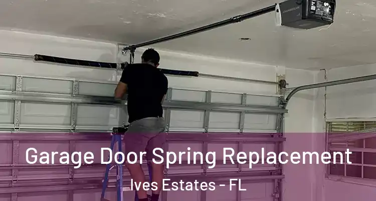  Garage Door Spring Replacement Ives Estates - FL