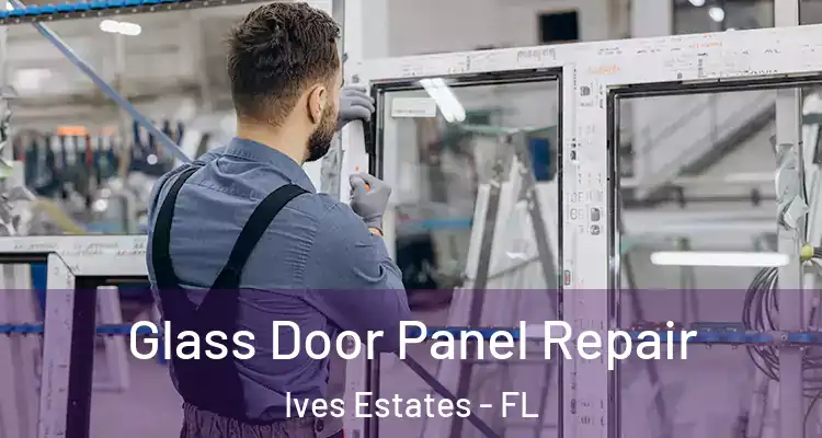  Glass Door Panel Repair Ives Estates - FL