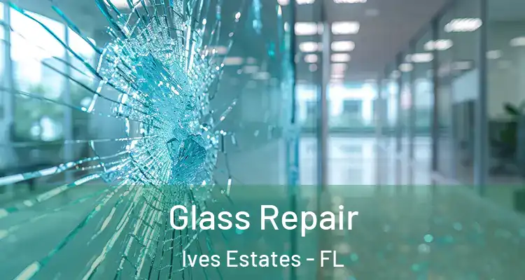  Glass Repair Ives Estates - FL