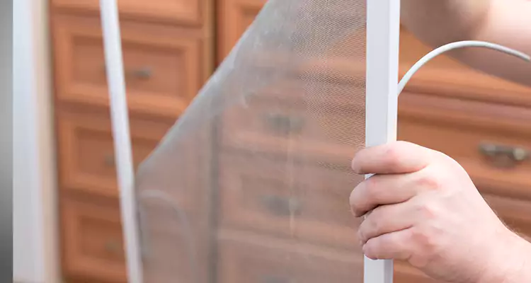 Privacy Mesh Screen Door Installation in Ives Estates, FL