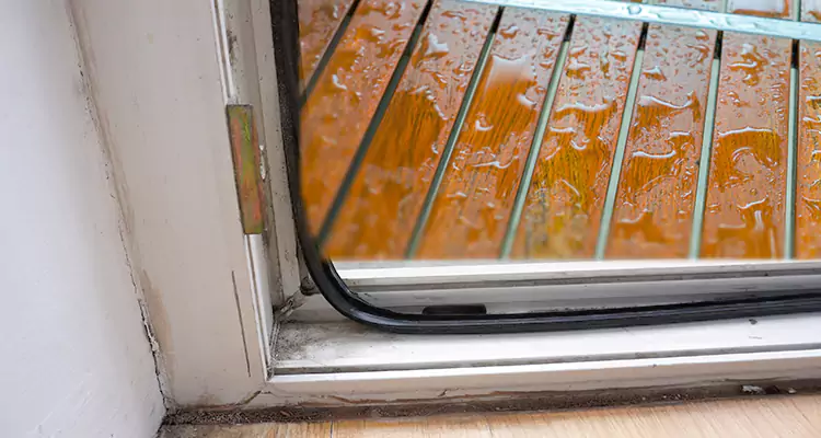 Water Leaking Wooden Patio Doors Repair in Ives Estates, FL