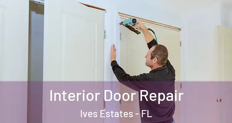  Interior Door Repair Ives Estates - FL