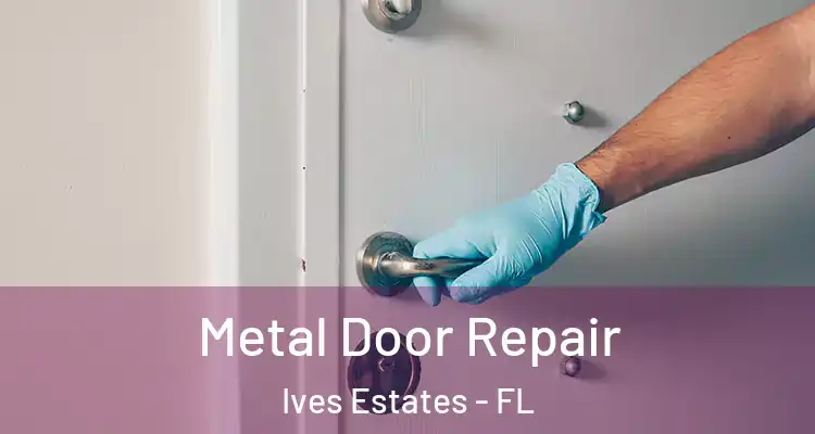  Metal Door Repair Ives Estates - FL