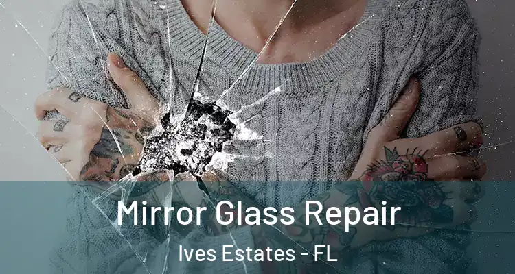  Mirror Glass Repair Ives Estates - FL