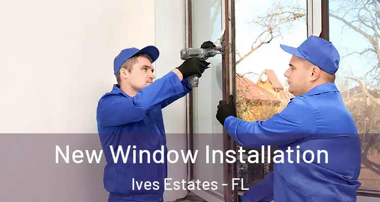  New Window Installation Ives Estates - FL