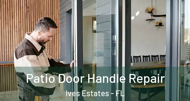  Patio Door Handle Repair Ives Estates - FL