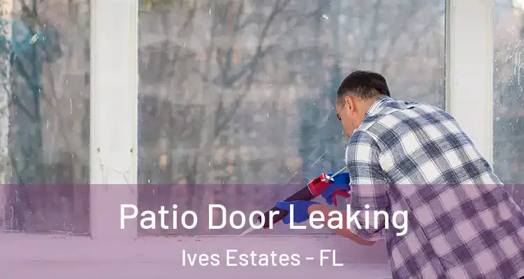  Patio Door Leaking Ives Estates - FL