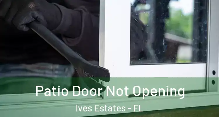  Patio Door Not Opening Ives Estates - FL