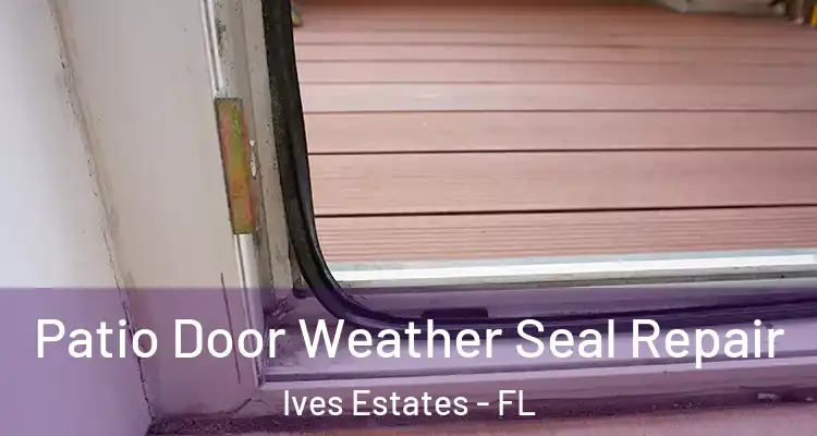  Patio Door Weather Seal Repair Ives Estates - FL