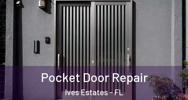  Pocket Door Repair Ives Estates - FL