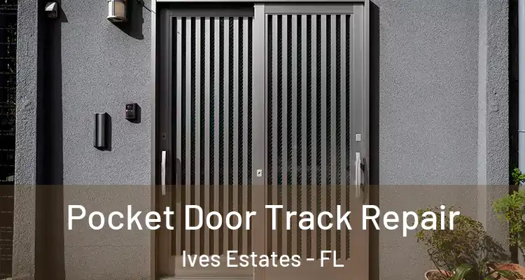  Pocket Door Track Repair Ives Estates - FL