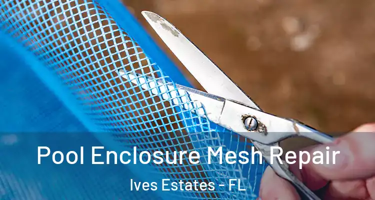  Pool Enclosure Mesh Repair Ives Estates - FL