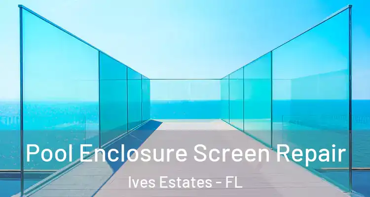  Pool Enclosure Screen Repair Ives Estates - FL