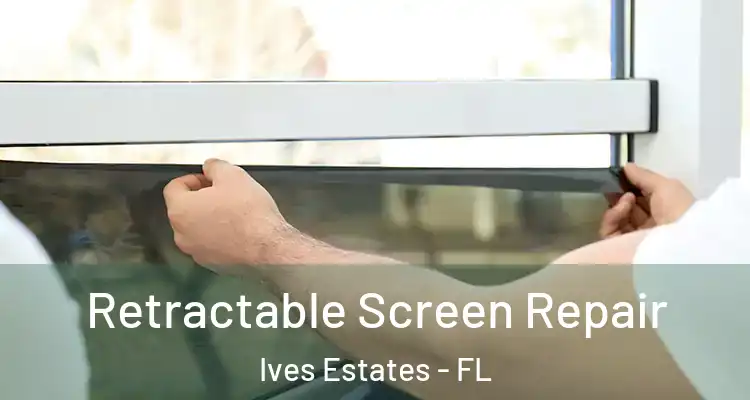  Retractable Screen Repair Ives Estates - FL