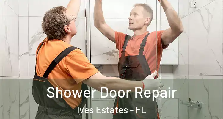  Shower Door Repair Ives Estates - FL