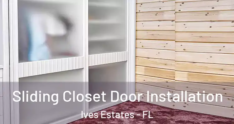  Sliding Closet Door Installation Ives Estates - FL