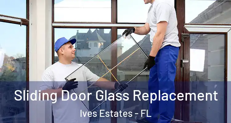  Sliding Door Glass Replacement Ives Estates - FL