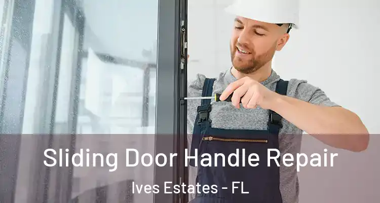  Sliding Door Handle Repair Ives Estates - FL