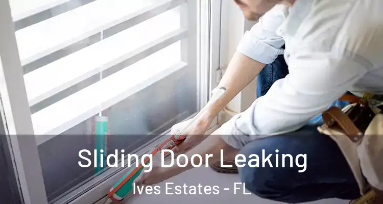 Sliding Door Leaking Ives Estates - FL