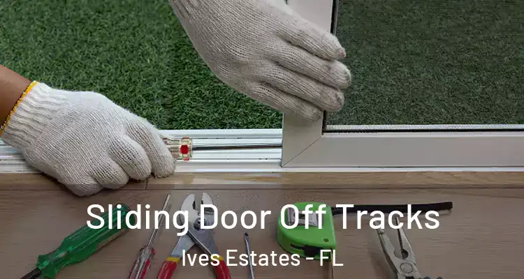  Sliding Door Off Tracks Ives Estates - FL