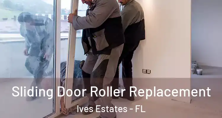  Sliding Door Roller Replacement Ives Estates - FL