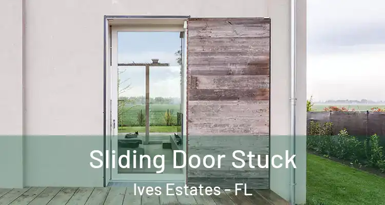  Sliding Door Stuck Ives Estates - FL
