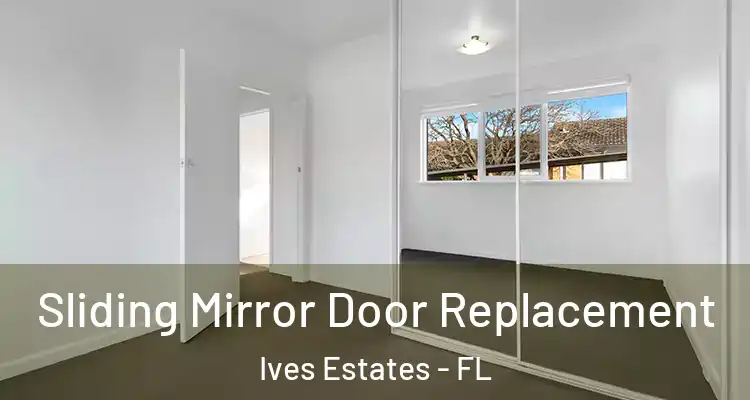  Sliding Mirror Door Replacement Ives Estates - FL