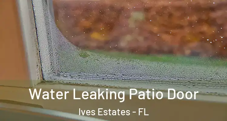  Water Leaking Patio Door Ives Estates - FL