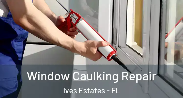  Window Caulking Repair Ives Estates - FL