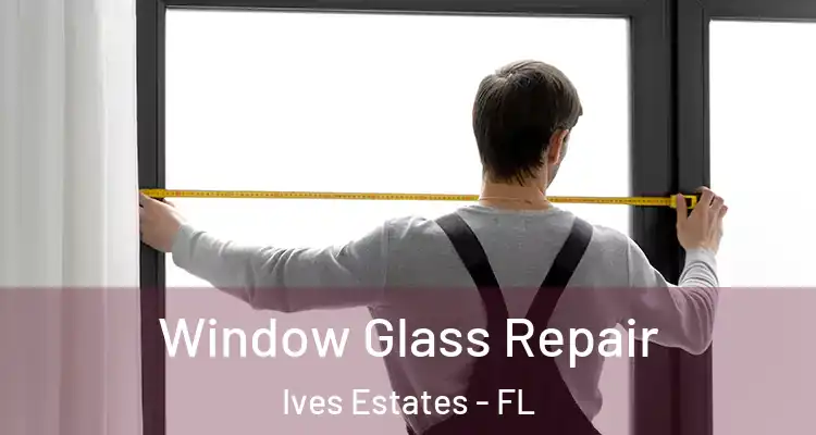  Window Glass Repair Ives Estates - FL