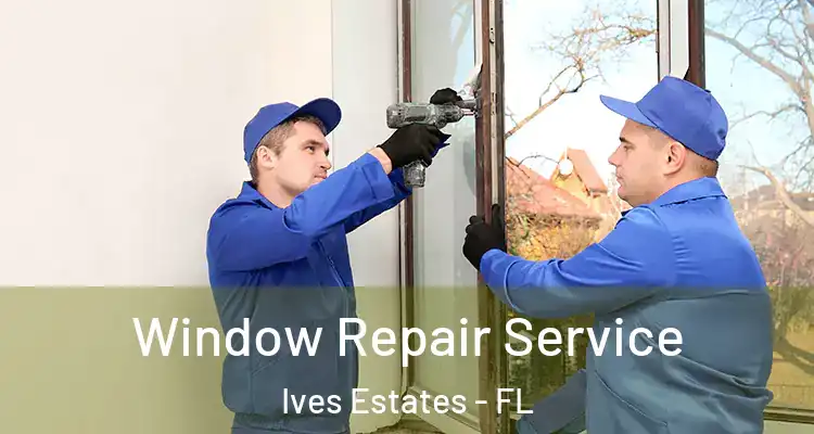  Window Repair Service Ives Estates - FL