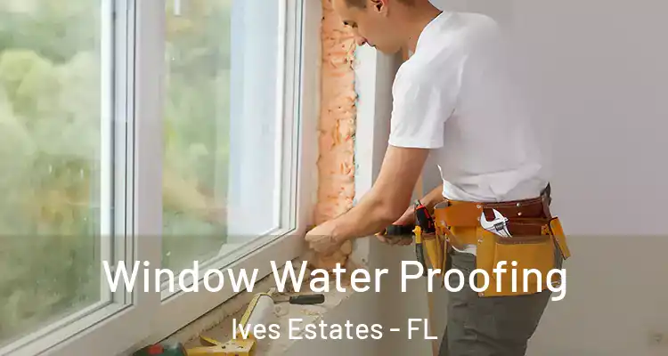  Window Water Proofing Ives Estates - FL